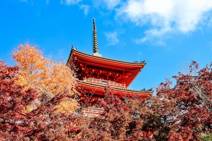 Herfst in Japan