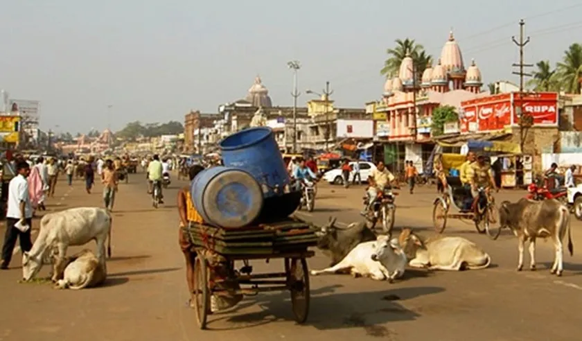 Rijden op de wegen van India