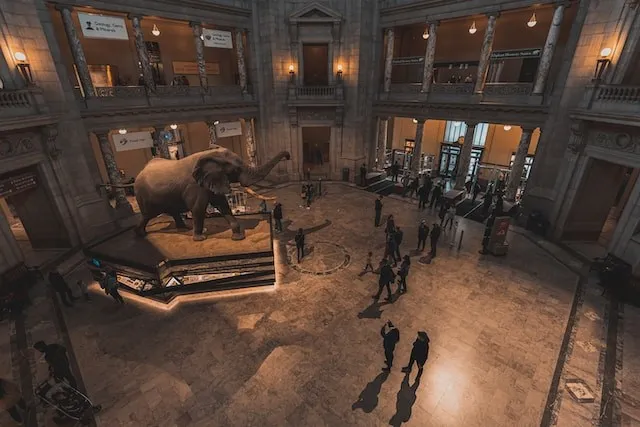 Smithsonian Museum-attractie